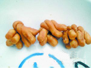 L̖ϳuצ黨С黨  aI