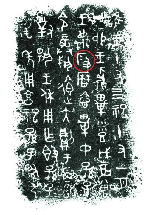 ʽʼϵ ӵϡ